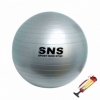 Мяч для фитнеса (фитбол) SNS серебристый с насосом, 55 см (FB-55-СЕ)
