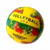 Мяч волейбольный SNS BA-4YMM желтый (21011)