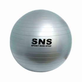 Мяч для фитнеса (фитбол) SNS серебристый, 55 см (FB-55-СЕ)
