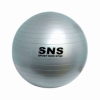 Мяч для фитнеса (фитбол) SNS серебристый, 55 см (FB-55-СЕ)