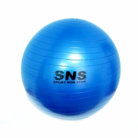 Мяч для фитнеса (фитбол) SNS синий, 65 см (FB-65-С)