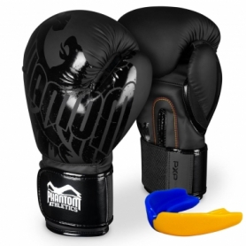Боксерські рукавиці Phantom Germany Eagle Black (PHBG2323)