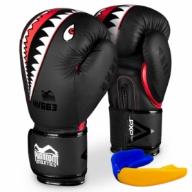Боксерські рукавиці Phantom Fight Squad Schwarz Black (PHBG2216)