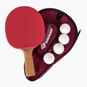 Набір для настільного тенісу Donic-Schildkrot Gift Set Persson 600 (1 ракетка, 4 м'яча, чохол)