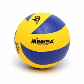 М'яч волейбольний IVN Minksa WildSun (IV-MN8619)