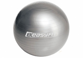Мяч для фитнеса EasyFit серый, 55 см (EF-3006-GY)