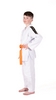 Кимоно для дзюдо Essimo Koka белое с полосами - Фото №2