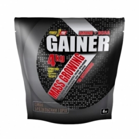 Гейнер Power Pro Gainer, 4000 г, Brazil Nut (2022-10-2524)