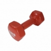 Гантель для фітнесу вінілова SNS червона, 5 кг (12354)