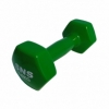 Гантель для фітнесу вінілова SNS зелена, 5 кг (12355)