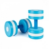Гантелі для аквафітнесу Speedo Aqua Dumbell AU (8-069170309)