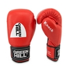 Перчатки боксерские с печатью ФБУ Green Hill Knock, красные (KBK-2105) - Фото №4