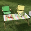 Стілець розкладний для кемпінгу WCG Chill Зелений (CH-S21L) - Фото №5