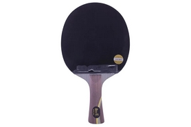 Набір для настільного тенісу DHS Ma Long (2000999135644) - Фото №6